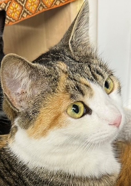 Molly, Zensenhof  (06/2025)