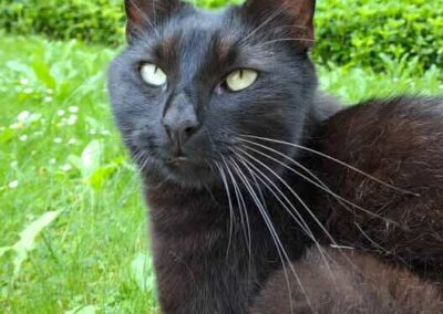 Gismo, Axams  (07/2025)