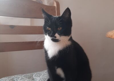 Cleo, Innsbruck  (07/2025)