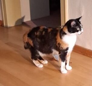Cici, Münster  (07/2025)