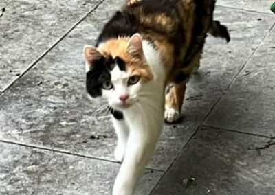 Maya, Pflach  (07/2025)