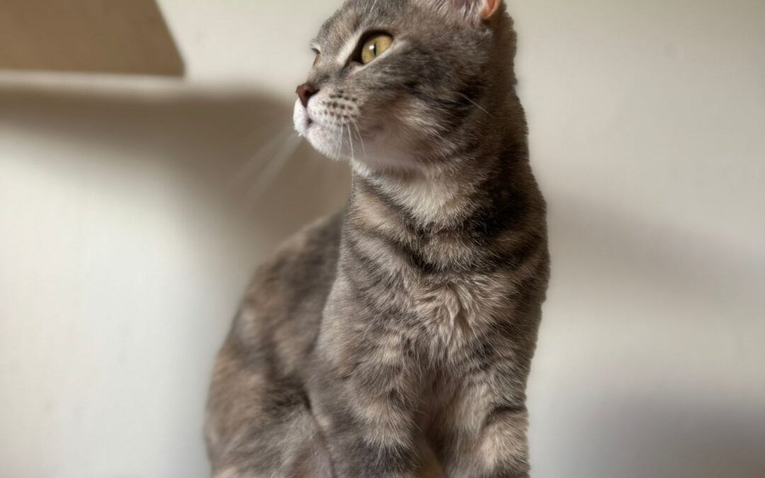 Rosie