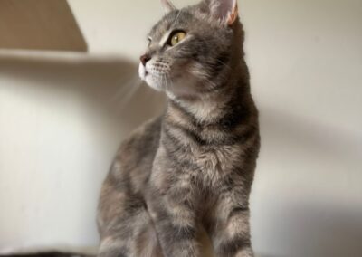 Rosie