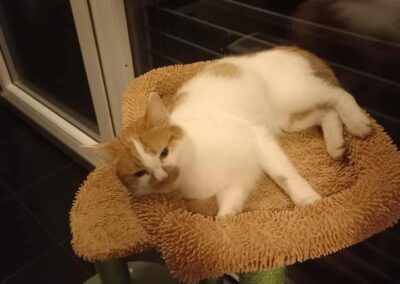 Lotte, Fügen (08/25)