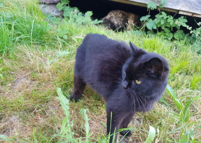Lizzy, Fulpmes  (07/2025)