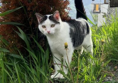 Lenny, Kaunerberg  (08/2025)