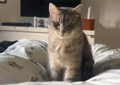 Ella, Navis  (08/2025)