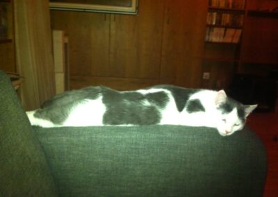Wolli, Absam  (09/2025)