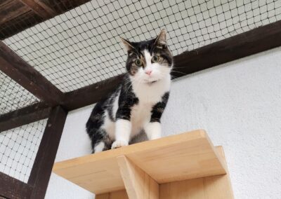 Minzi