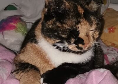 Lilly, Telfs  (09/2025)