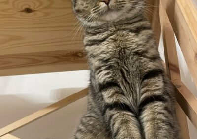 Mademoiselle, Völs  (09/2025)