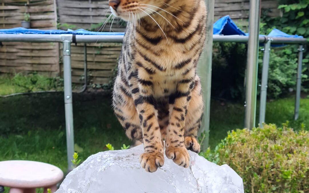 Miley, Absam  (10/2025)