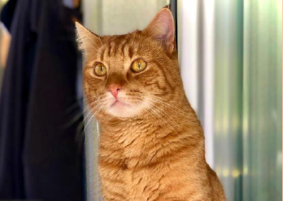 Freddy, Grinzens (10/25)