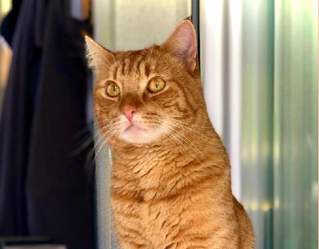 Freddy, Grinzens (10/25)