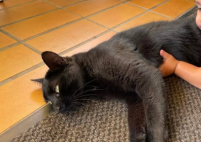 Muffin, Telfs  (10/2025)