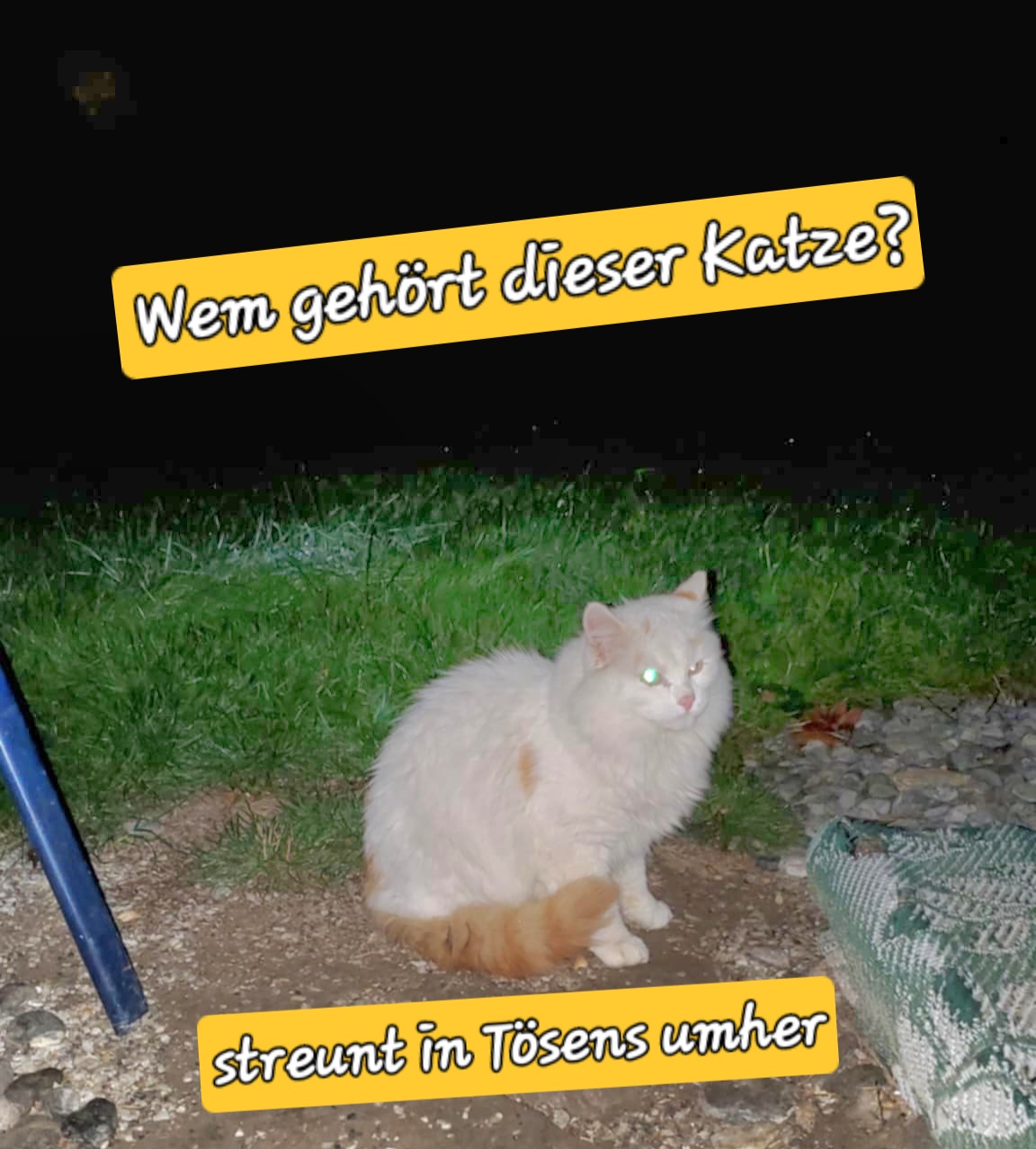 Tösens_Fundkater