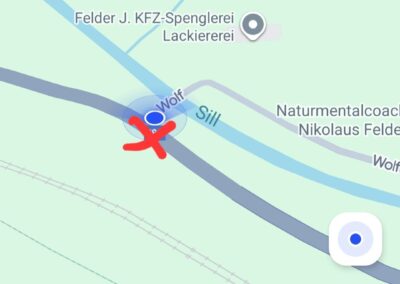 Totfund Katze, Steinach am Brenner  (10/2025)