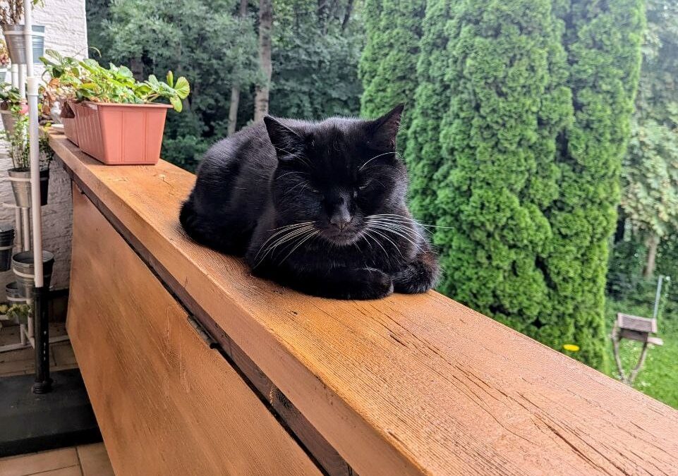 Stanley, Wattens  (10/2025)