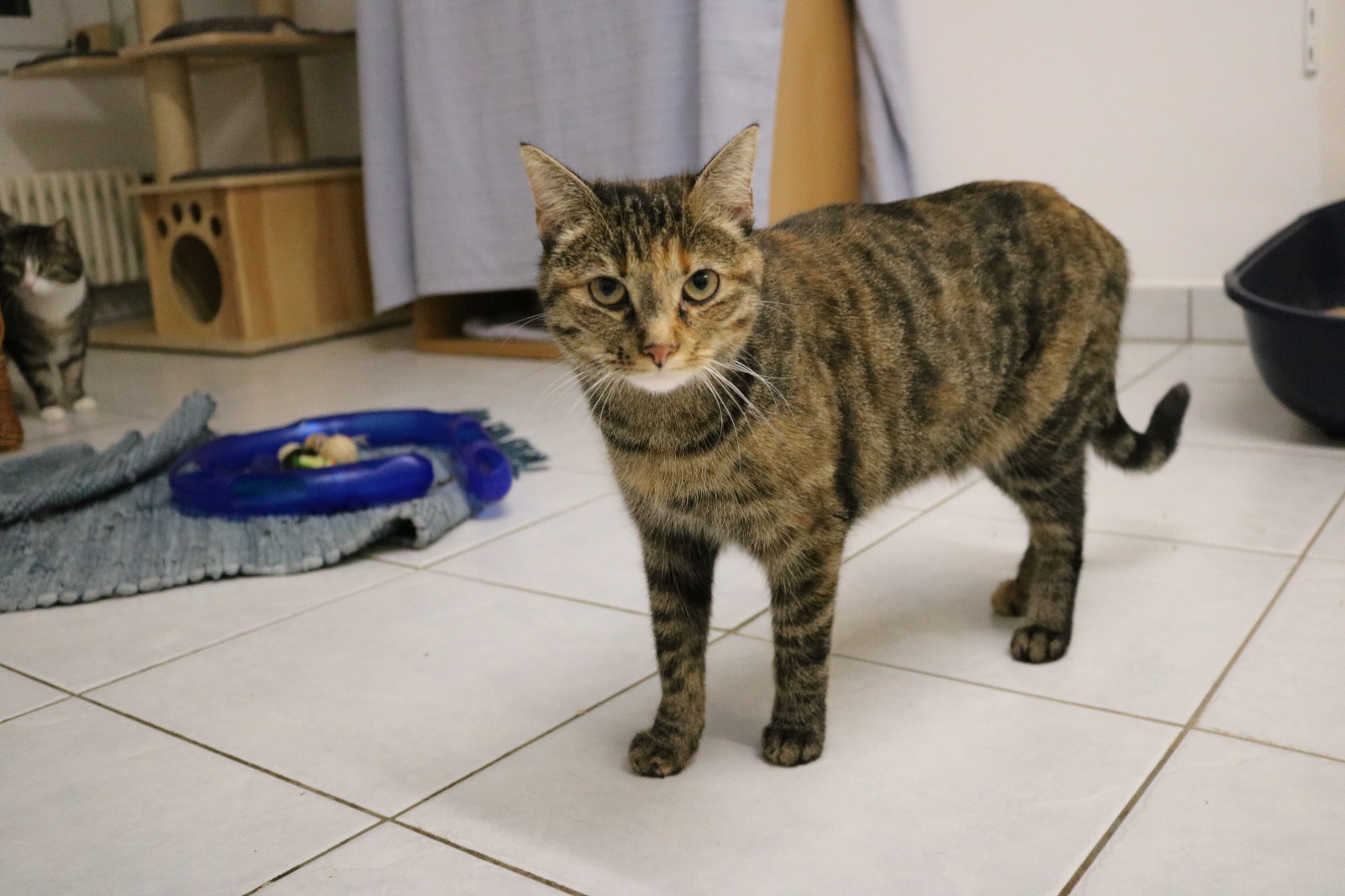 WhatsApp Image 2025-11-06 at 09.32.54