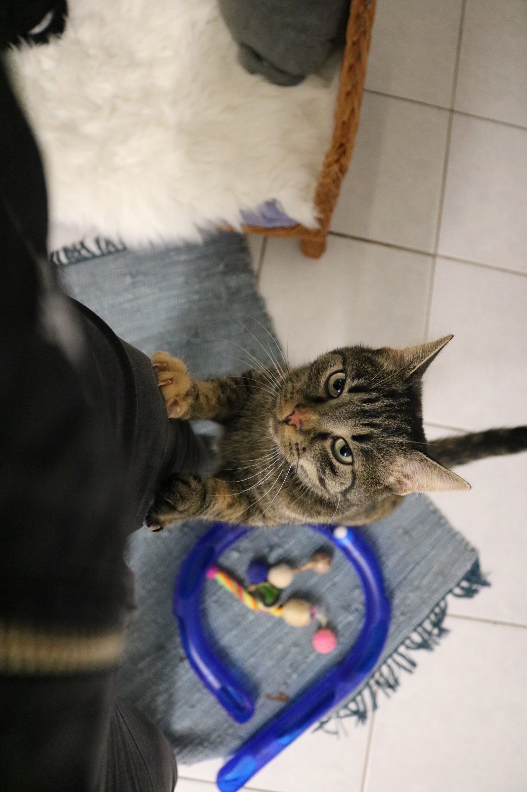 WhatsApp Image 2025-11-06 at 09.32.55