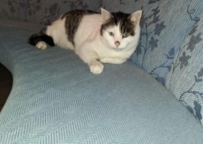 Carlo, Achenkirch  (11/2025)