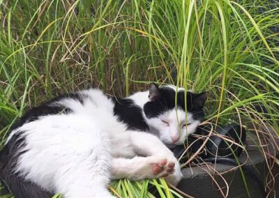 Loisl, Fügenberg  (11/2025)