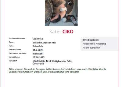 Ciko, Hall in Tirol  (11/2025)