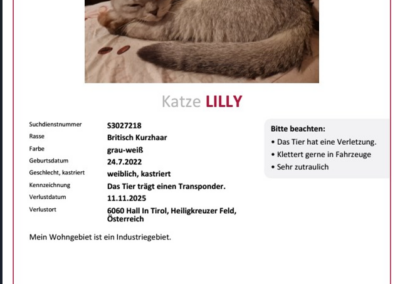 Lilly, Hall in Tirol  (11/2025)