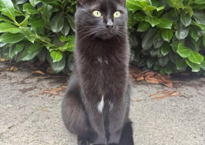 Schorsch, Innsbruck  (11/2025)