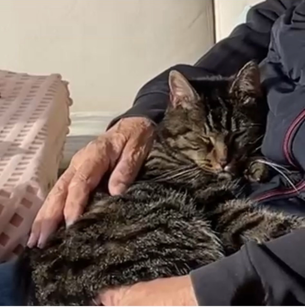 Muinzele, Innsbruck  (11/2025)