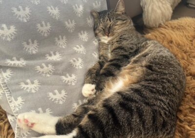 Sheila, Innsbruck  (11/2025)