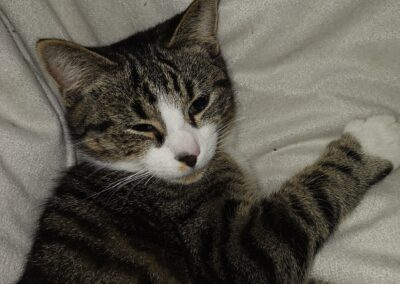 Mikkey, Kiefersfelden  (11/2025)