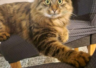 Bailey, Kössen  (11/2025)