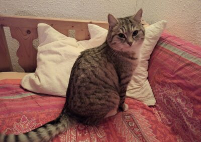 Tobi, Ranggen  (11/2025)