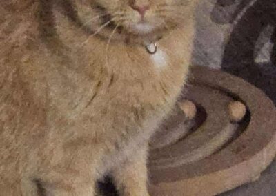 Hilde, Ranggen  (11/2025)