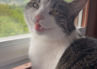 Yuki, Stans  (11/2025)