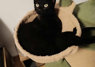 Coco, Telfs  (11/2025)