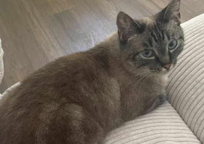 Sina, Telfs  (11/2025)