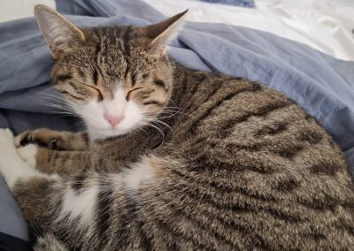 Milo, Völs  (11/2025)