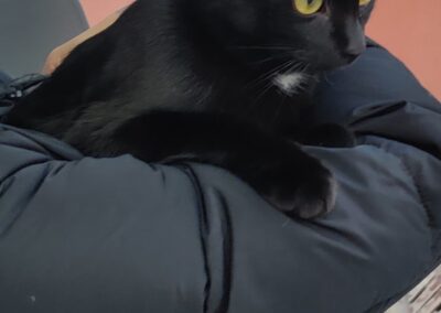 Pepsi, Vomp  (11/2025)