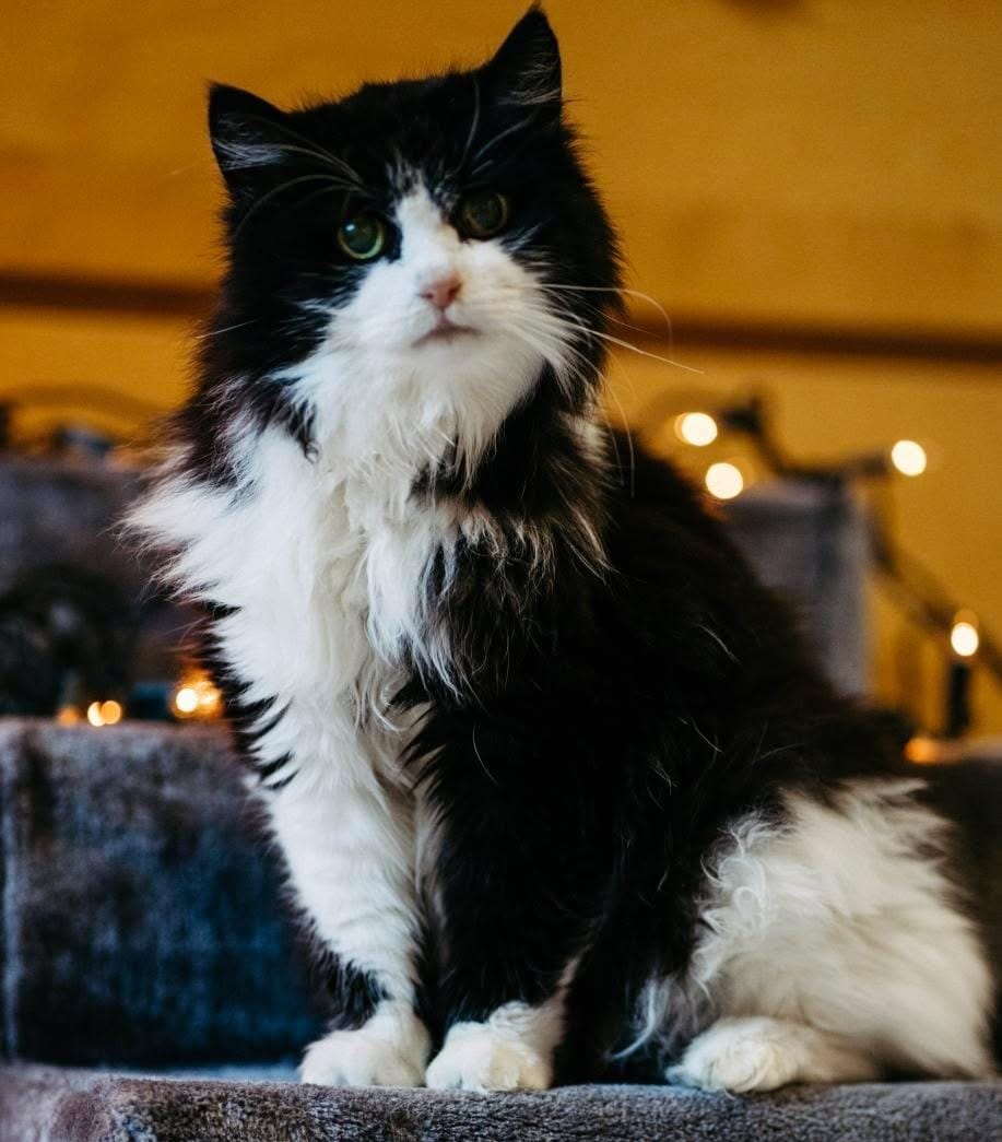 Vermisst/gefunden Symbolbild