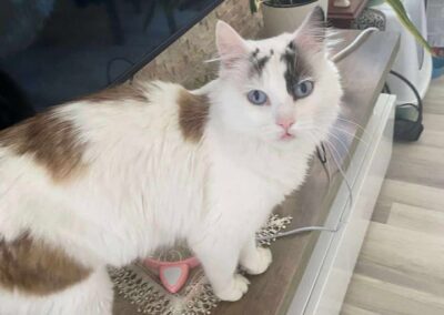 Fredo, Wörgl  (11/2025)