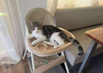 Muffi, Wörgl  (11/2025)