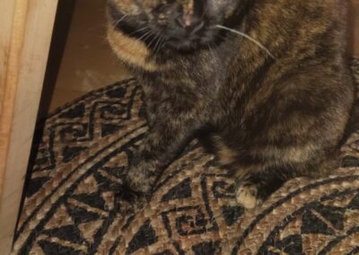 Kaida, Zams  (11/2025)