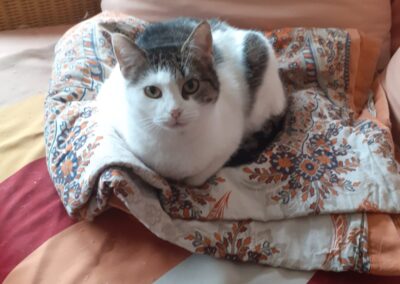 Mietzi, Kufstein (12/2025)