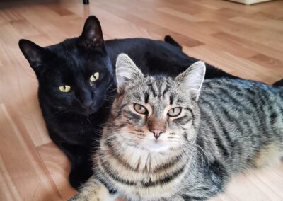 Kleini & Schnurrbert