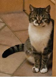 Bloom, Kufstein  (12/2025)