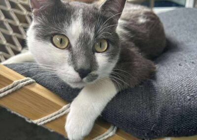 Ryuk, Kufstein  (12/2025)