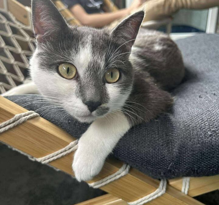 Ryuk, Kufstein  (12/2025)