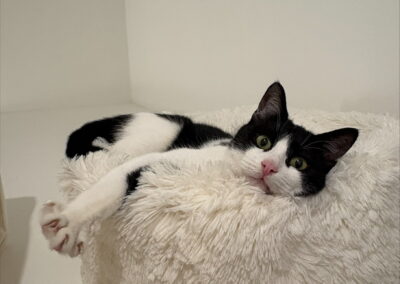 Lumi, Jenbach  (12/2025)